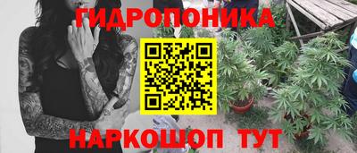 твердый Будённовск